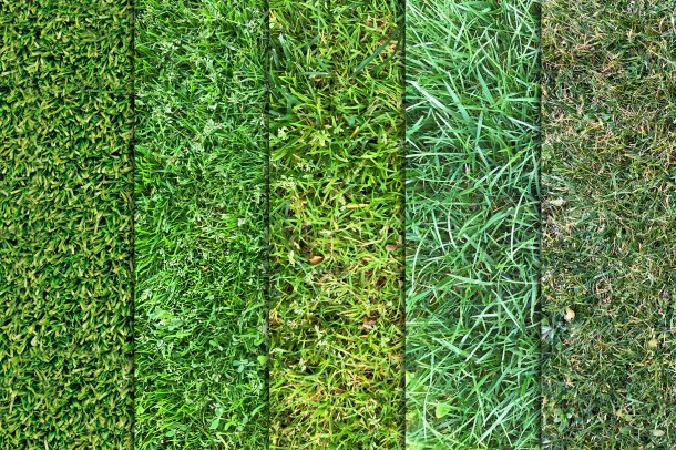 3 Grass Textures Vol 2 x10 (1820)